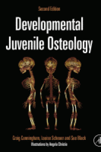 Image of Development Juvenile Osteology