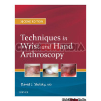 Image of Techniques In Wrist and Hand Arthroscopy